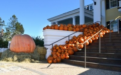 Our Pumpkins Have Arrived!