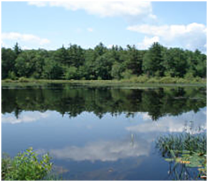 Arcadia Wildlife Management Center